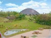 Un biodôme tropical géant pour le ZooParc de Beauval