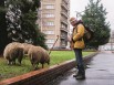 Face à face : la nature en crise 