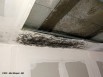 Dégradation d'un plafond sous une terrasse