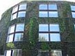 Le plus grand mur végétal du monde pousse à Paris