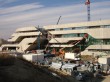 Zaha Hadid cr&eacute;&eacute; l'arbre du savoir &agrave; Montpellier ...