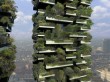 Bosco Verticale : une forêt dans la ville ...