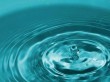 La bataille de l'Eau de Lille continue