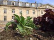 Six solutions pour relever le d&eacute;fi de ...