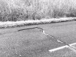 Routes d&eacute;grad&eacute;es : les plans d'urgence, "la pire ...