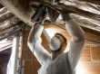Rénovation : comment garantir une isolation ...