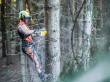 Dewalt mise sur les secteurs de l'aménagement, de ...