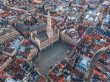 Bruxelles n'aura pas son mus&eacute;e du Chat
