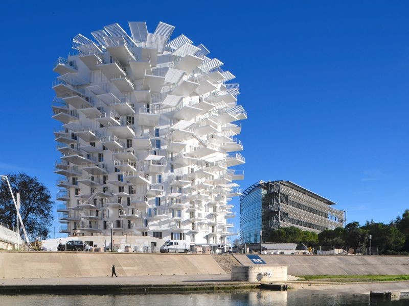 L'Arbre blanc pose les racines d'un nouvel héritage architectural