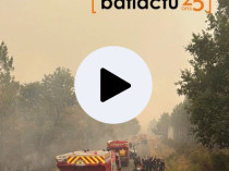 C'est dans l'actu : des entreprises de ...