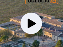 C'est dans l'actu : le domaine viticole de ...