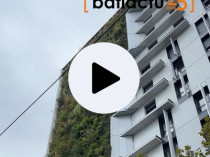 C'est dans l'actu : une fa&ccedil;ade v&eacute;g&eacute;tale ...