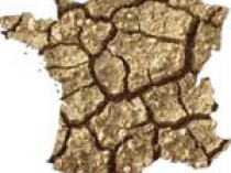 2006&#160;: une année «historique en matière de ...