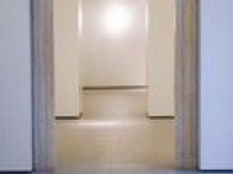 Tadao Ando livre un palais vénitien minimaliste ...