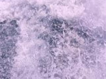 Le S&eacute;nat adopte le projet de loi sur l'eau en ...