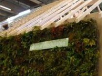 Eco-construction&#160;: zoom sur 10 matériaux et ...