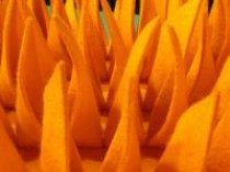 Salon R&eacute;nover : &agrave; la recherche de nouveaux ...