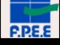 FPEE Industries annonce un chiffre d'affaires en ...