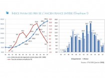 Bilan 2007 de l'immobilier français de la Fnaim