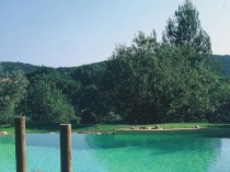 Le guide des piscines naturelles et écologiques