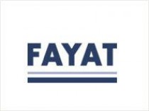 Fayat&#160;: des performances régulières en 2009