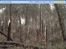 Bilan chiffré de la tempête Klaus