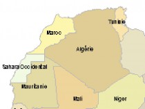 Algérie: un groupement franco-espagnol décroche ...