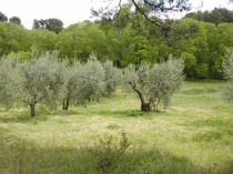 Etude: l'environnement, un sujet ancré dans les ...