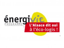 Les rencontres Energivie enregistrent une hausse ...