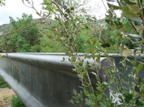 Une passerelle élancée au c&oelig;ur des gorges ...