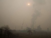 Captage de CO2 par les algues&#160;: l'Allemagne ...