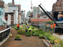 Une «coulée verte» version new-yorkaise