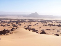 Terna intègre Desertec