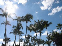 Le stockage de l'énergie déployé dans les îles ...