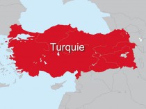 Russie/Turquie&#160;: un projet commun d'une ...