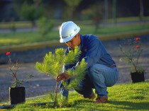 Deux cimenteries américaines de Cemex reçoivent ...