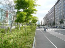 Des terrasses pour réunifier Nanterre (diaporama)