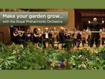 Un orchestre symphonique joue pour... un jardin de ...