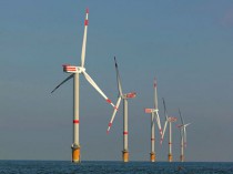 Des ONG exigent le gel des projets éoliens en mer