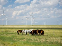 Iberdrola inaugure trois parcs éoliens aux ...