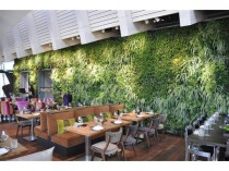 Un restaurant adopte un mur végétal en guise de ...
