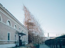 Enel promeut une sculpture géante en bambou à Rome