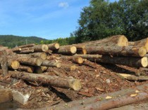 L'engouement pour le chauffage au bois ne se ...