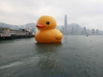 Un canard géant en plein milieu de la baie de ...