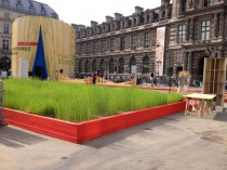 Un champ de lin en plein Paris