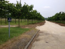 L'allée des Mortemets de Versailles se refait une ...