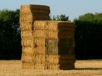 Cogénération paille&#160;: l'exemple réussi de ...