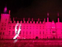 Les monuments de France se mobilisent contre le ...