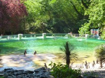 Le zoo de Beauval se dote d'une unité de ...