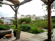 Un jardin solidaire sur un toit parisien 